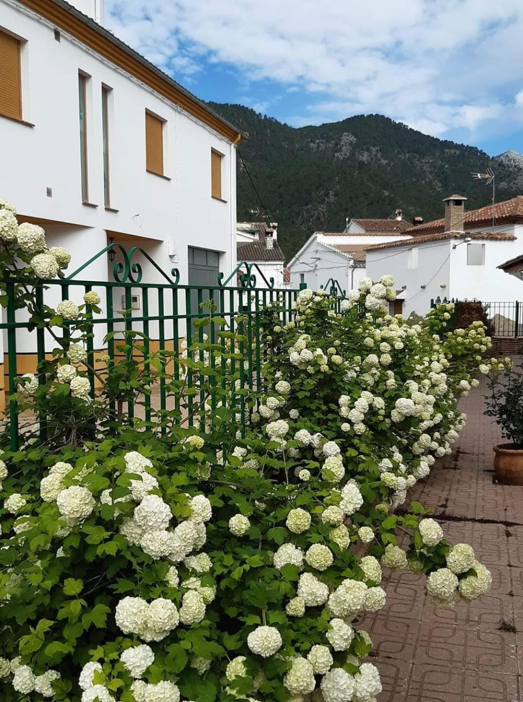 Albergue Ruta Rio Borosa Coto Rios Eksteriør bilde